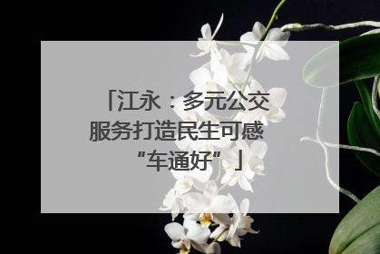 江永：多元公交服务打造民生可感“车通好”