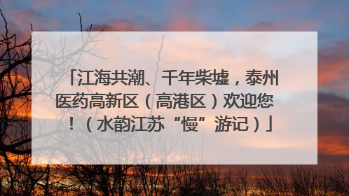 江海共潮、千年柴墟，泰州医药高新区（高港区）欢迎您！（水韵江苏“慢”游记）