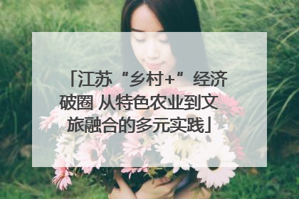 江苏“乡村+”经济破圈 从特色农业到文旅融合的多元实践
