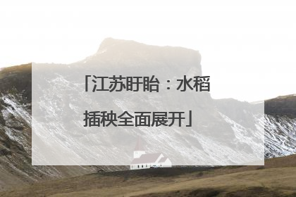 江苏盱眙：水稻插秧全面展开