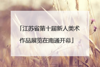 江苏省第十届新人美术作品展览在南通开幕