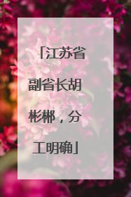 江苏省副省长胡彬郴，分工明确