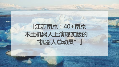 江苏南京：40+南京本土机器人上演现实版的“机器人总动员”