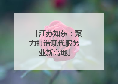 江苏如东：聚力打造现代服务业新高地