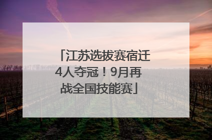 江苏选拔赛宿迁4人夺冠！9月再战全国技能赛