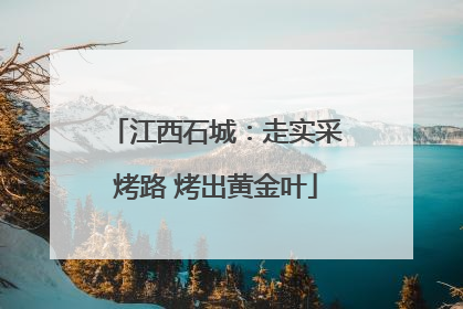 江西石城：走实采烤路 烤出黄金叶