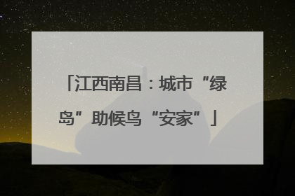 江西南昌：城市“绿岛”助候鸟“安家”