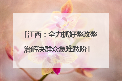 江西：全力抓好整改整治解决群众急难愁盼