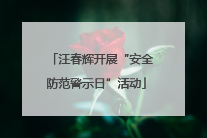 汪春辉开展“安全防范警示日”活动