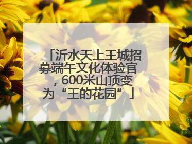 沂水天上王城招募端午文化体验官，600米山顶变为“王的花园”