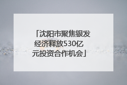 沈阳市聚焦银发经济释放530亿元投资合作机会