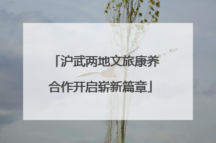 沪武两地文旅康养合作开启崭新篇章