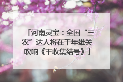 河南灵宝：全国“三农”达人将在千年雄关吹响《丰收集结号》