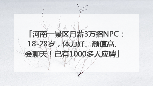 河南一景区月薪3万招NPC：18-28岁，体力好、颜值高、会聊天！已有1000多人应聘