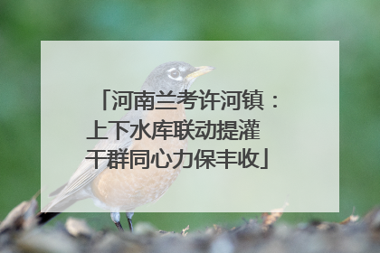 河南兰考许河镇：上下水库联动提灌 干群同心力保丰收