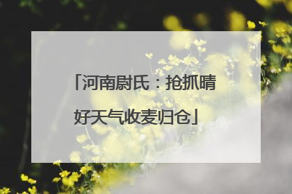 河南尉氏：抢抓晴好天气收麦归仓