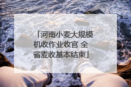 河南小麦大规模机收作业收官 全省麦收基本结束