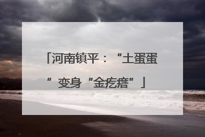 河南镇平：“土蛋蛋”变身“金疙瘩”