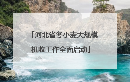 河北省冬小麦大规模机收工作全面启动