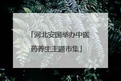 河北安国举办中医药养生主题市集