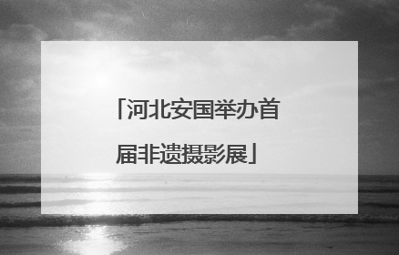 河北安国举办首届非遗摄影展