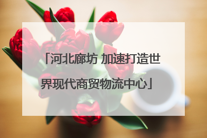 河北廊坊 加速打造世界现代商贸物流中心