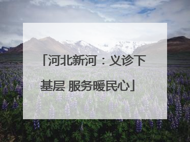 河北新河：义诊下基层 服务暖民心