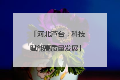 河北芦台：科技赋能高质量发展