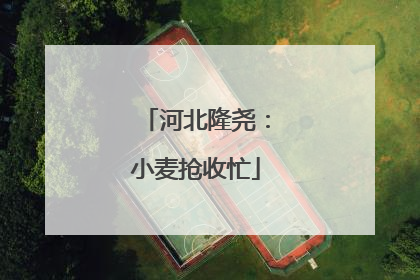 河北隆尧：小麦抢收忙