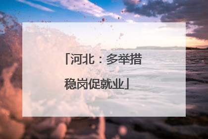 河北：多举措稳岗促就业