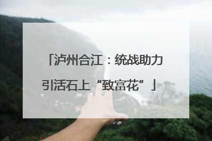 泸州合江：统战助力引活石上“致富花”