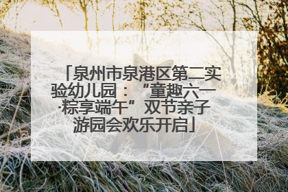 泉州市泉港区第二实验幼儿园：“童趣六一·粽享端午”双节亲子游园会欢乐开启