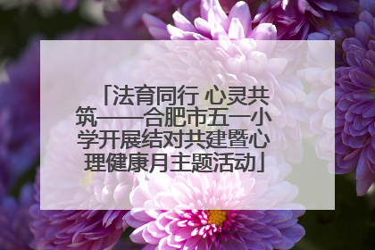 法育同行 心灵共筑——合肥市五一小学开展结对共建暨心理健康月主题活动