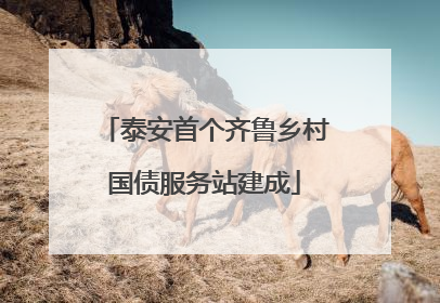 泰安首个齐鲁乡村国债服务站建成