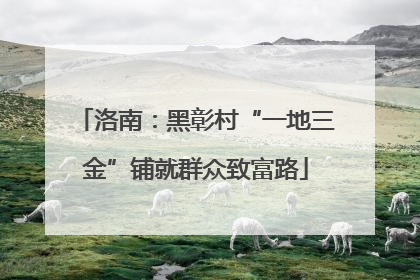 洛南：黑彰村“一地三金”铺就群众致富路