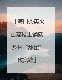 海口秀英火山荔枝王铺就乡村“甜蜜”致富路