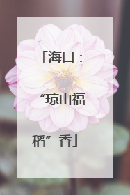 海口：“琼山福稻”香