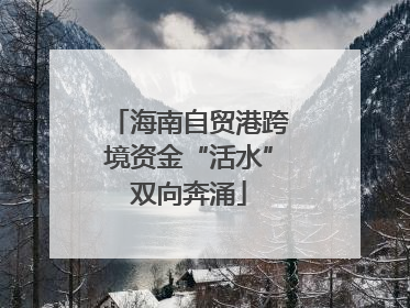海南自贸港跨境资金“活水”双向奔涌