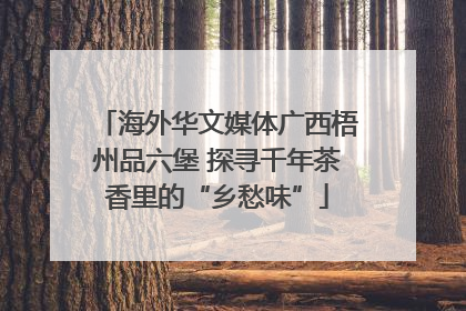 海外华文媒体广西梧州品六堡 探寻千年茶香里的“乡愁味”