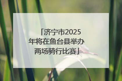 济宁市2025年将在鱼台县举办两场骑行比赛