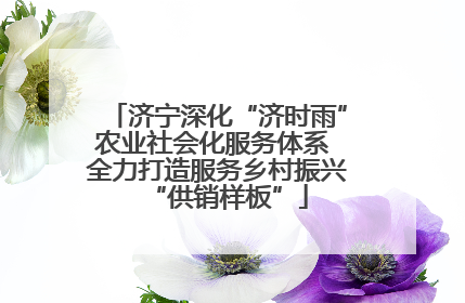 济宁深化“济时雨”农业社会化服务体系 全力打造服务乡村振兴“供销样板”
