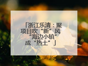 浙江乐清：聚项目吹“新”风 “海边小镇”成“热土”