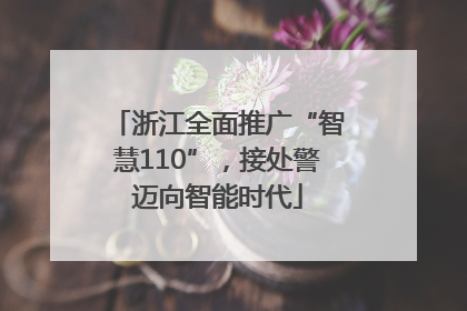 浙江全面推广“智慧110”，接处警迈向智能时代