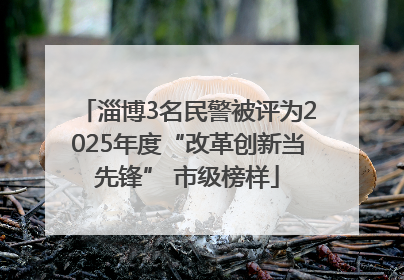 淄博3名民警被评为2025年度“改革创新当先锋” 市级榜样
