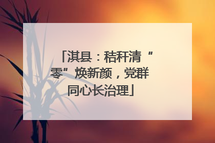 淇县：秸秆清“零”焕新颜，党群同心长治理