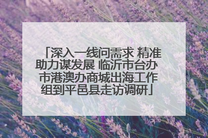 深入一线问需求 精准助力谋发展 临沂市台办 市港澳办商城出海工作组到平邑县走访调研