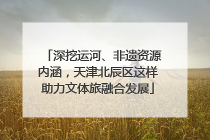 深挖运河、非遗资源内涵，天津北辰区这样助力文体旅融合发展