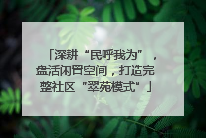 深耕“民呼我为”，盘活闲置空间，打造完整社区“翠苑模式”