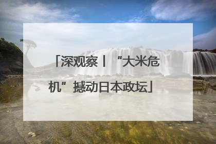 深观察丨“大米危机”撼动日本政坛