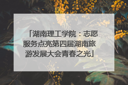 湖南理工学院：志愿服务点亮第四届湖南旅游发展大会青春之光